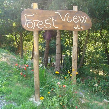 Forest View B&B Gavi Esterno foto