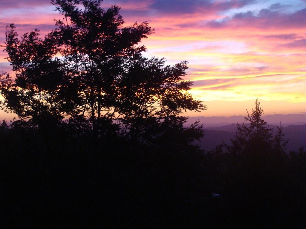 Forest View B&B Gavi Esterno foto