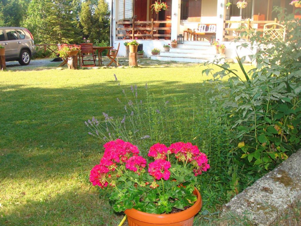 Forest View B&B Gavi Esterno foto