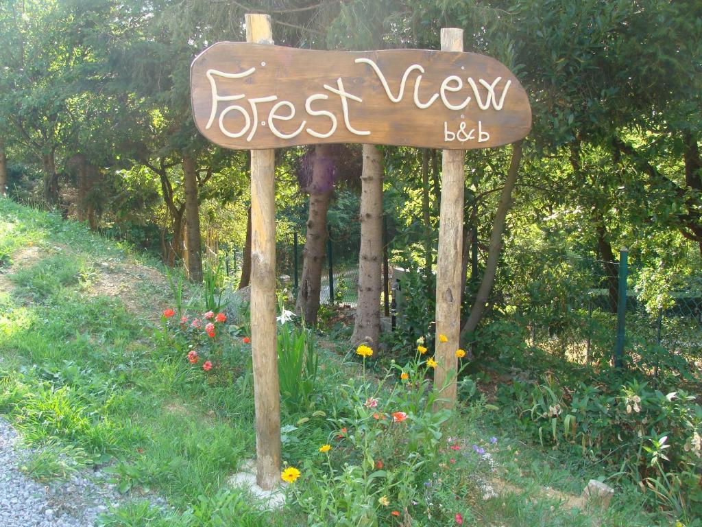Forest View B&B Gavi Esterno foto