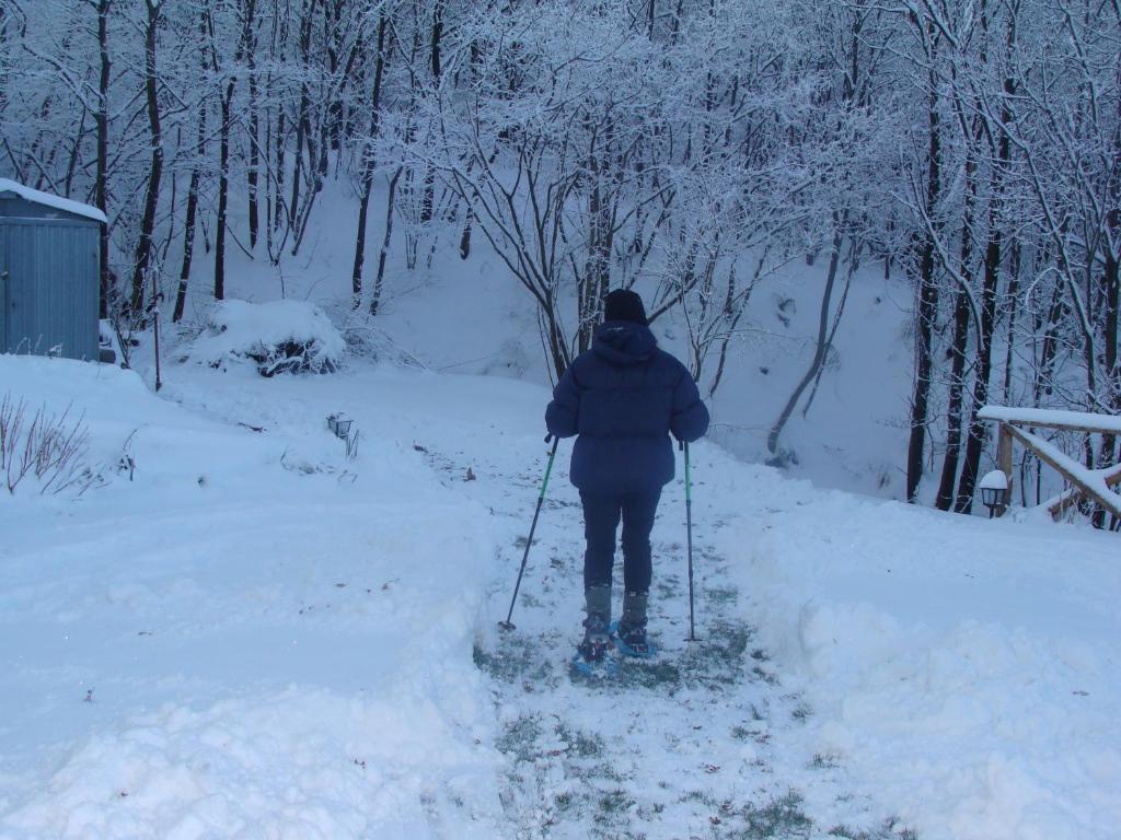 Forest View B&B Gavi Esterno foto